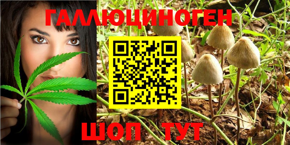 Галлюциногенные грибы мухоморы  Галлюциногенные грибы Psilocybe  Вход с VPN  Ставрополь 